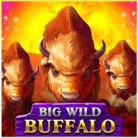game logo by Belatra Games on n1betno.com